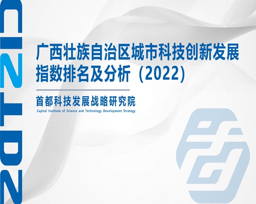 大鸡把插骚逼视频嗯啊嗯啊【成果发布】广西壮族自治区城市科技创新发展指数排名及分析（2022）